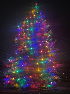Multicolored Lights on Christmas Tree